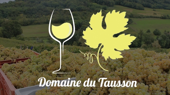 Domaine du Tausson - Jura