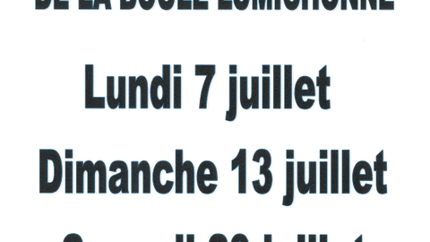 CONCOURS DE PETANQUE DE LA BOULE LUMICHONNE