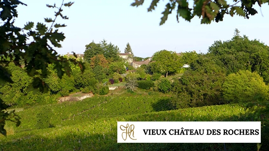 Vieux château des rochers - Saint Emilion (Bordeaux)