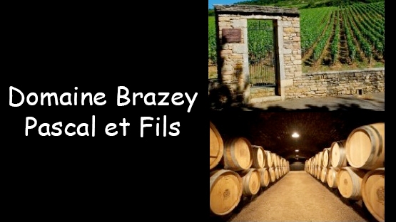 Domaine Brazey - Bourgogne
