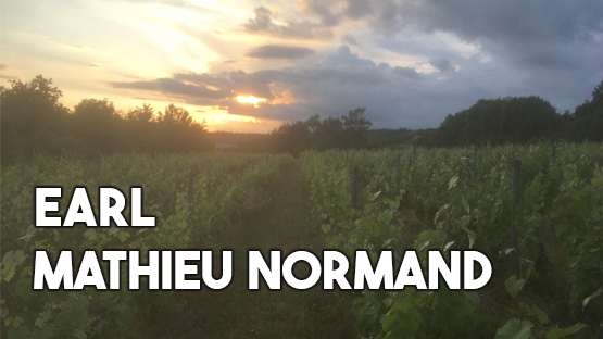 EARL Mathieu NORMAND - Anjou