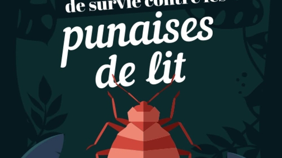 LUTTE CONTRE LES PUNAISES DE LIT
