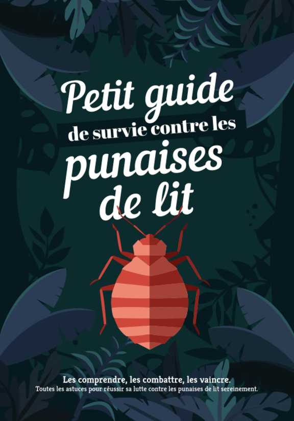 punaise de lit